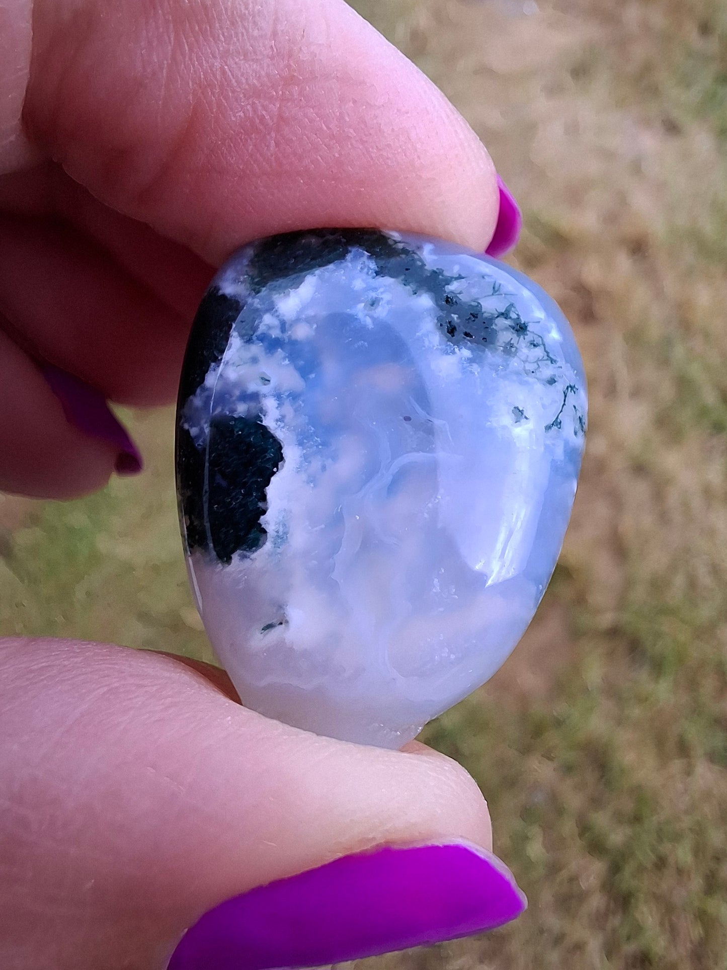 Tree Agate, Tumble Stone, Crystal (Ref: T2)