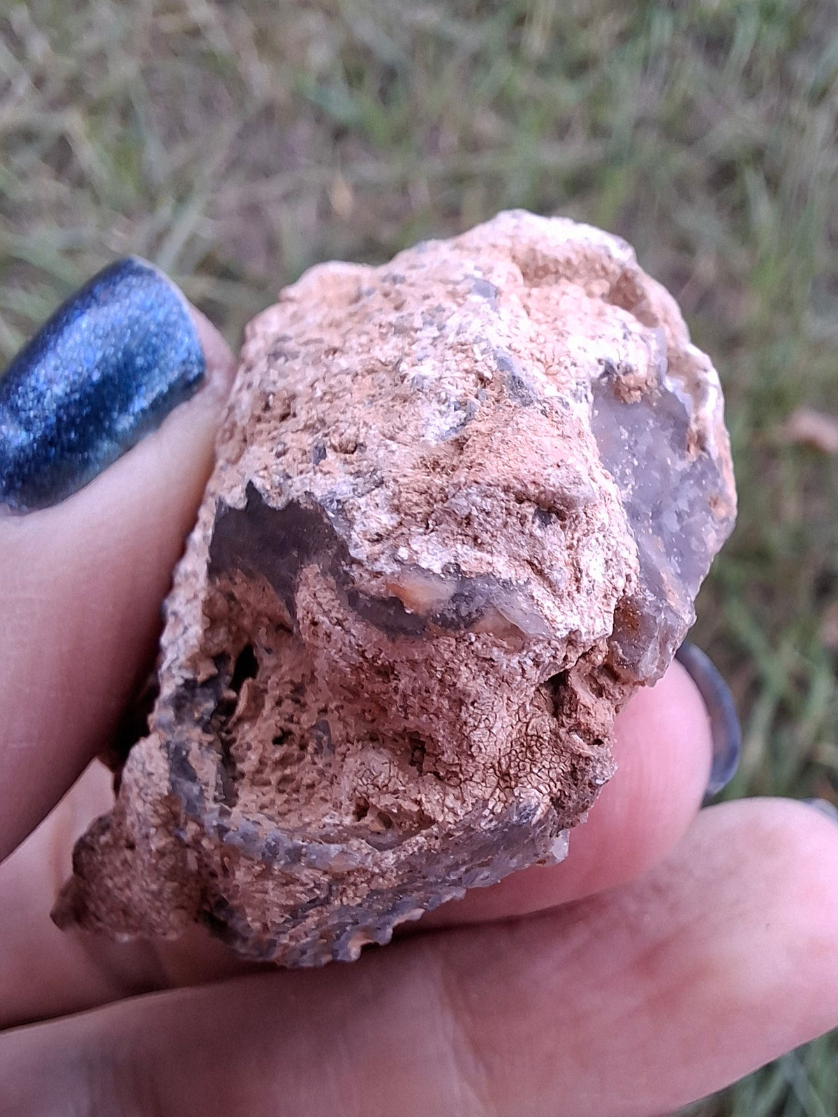 Chalcedony Oyster, Fossil (Ref: FO2)