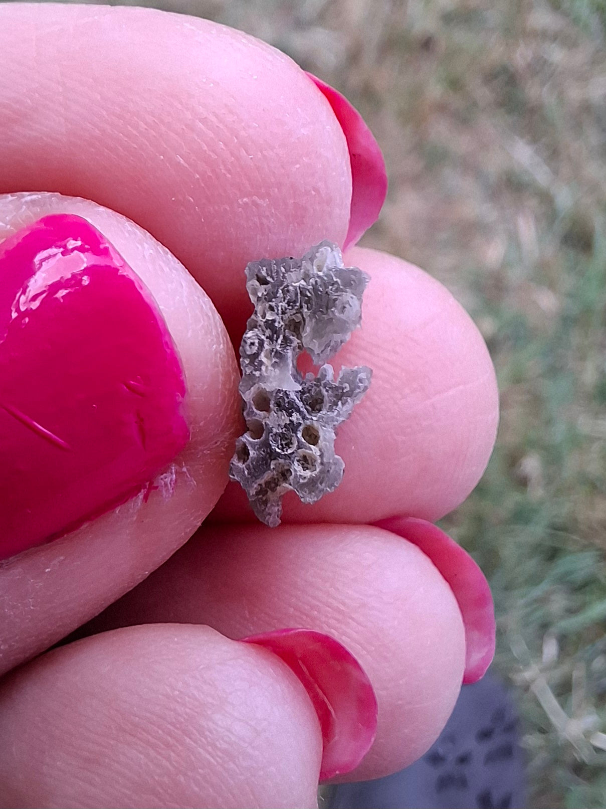 Moldavite Piece, SNOWFLAKE, FROSTED, BRUSNA, Tektite (Ref: 1495)