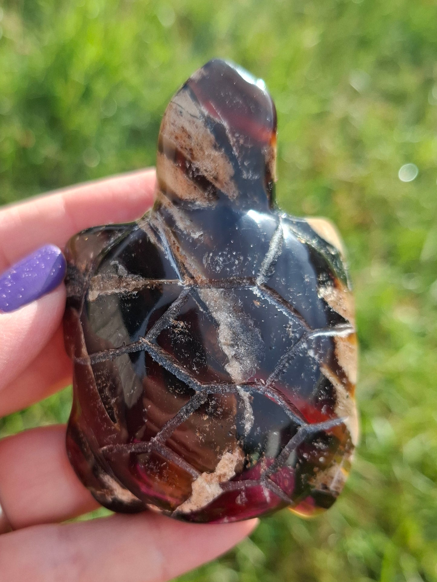 Red Amber Turtle, 50.00g, Carving, Fossil (Ref: TT6)