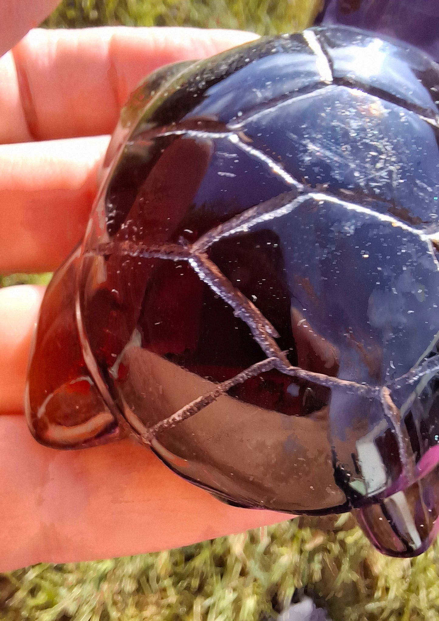 Red Amber Turtle, 47.85g, Carving, Fossil (Ref: TT4)