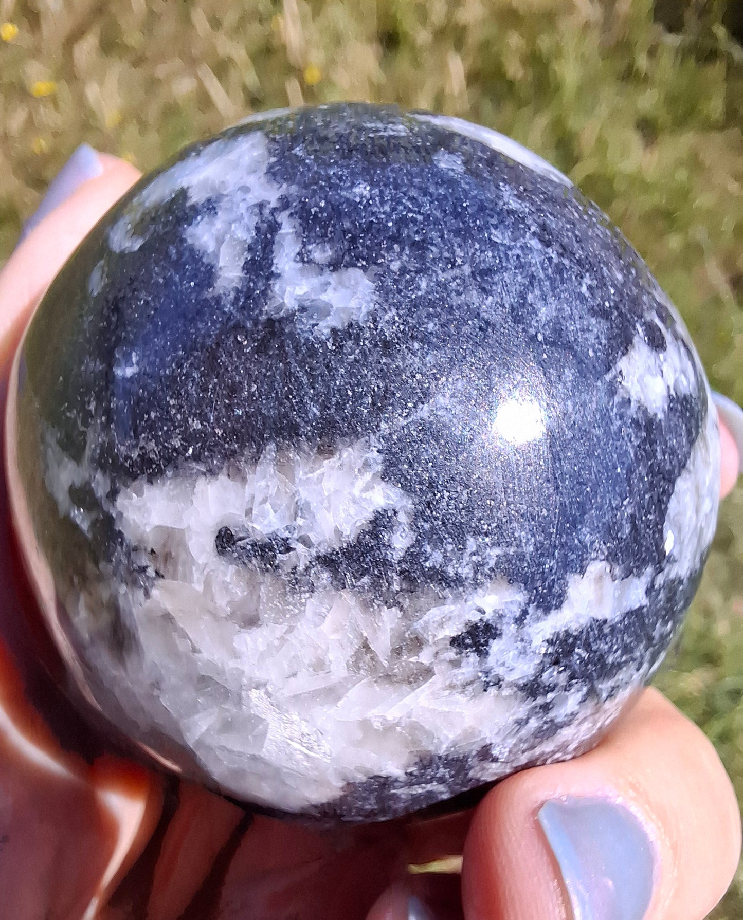 Orthoceras Sphere, Fossil (Ref: OS2)