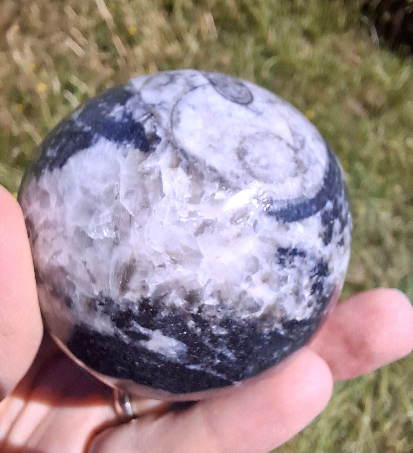 Orthoceras Sphere, Fossil (Ref: OS2)