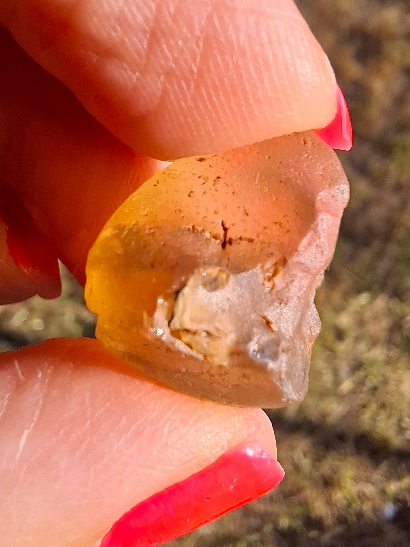 Libyan Desert Glass (darker) Piece, 3.72g, Tektite (Ref: L1378)