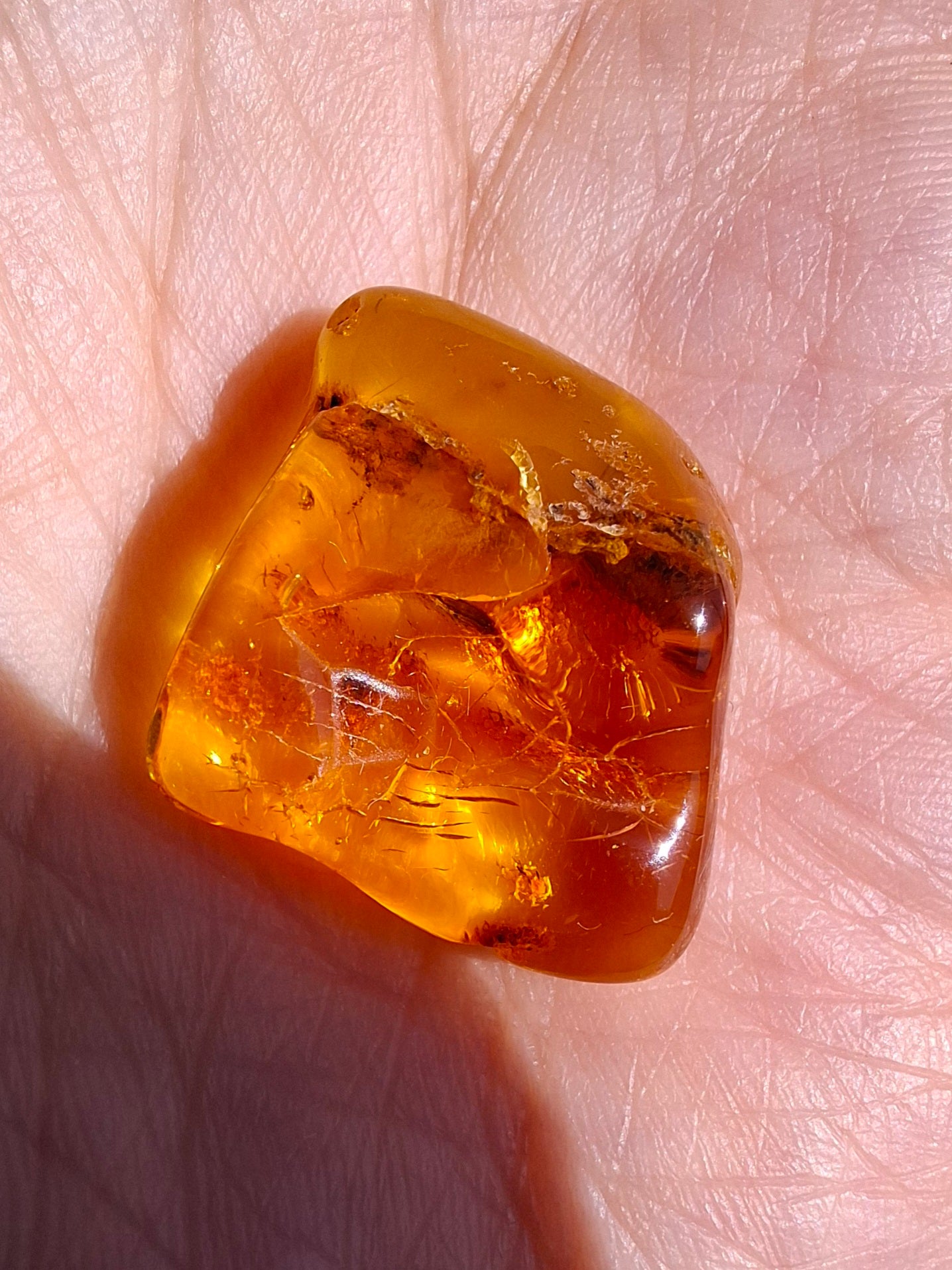 Baltic Amber, 1.51g, Fossil (Ref: A236)