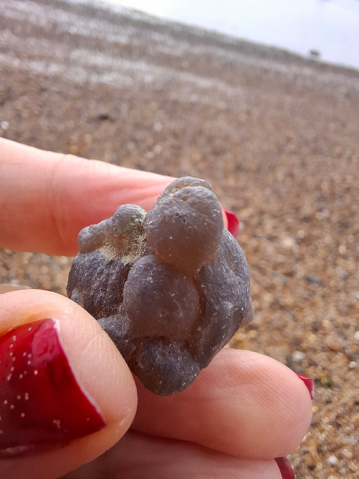 Nebula Chalcedony, 13.45g, Fossil (Ref: NC2)