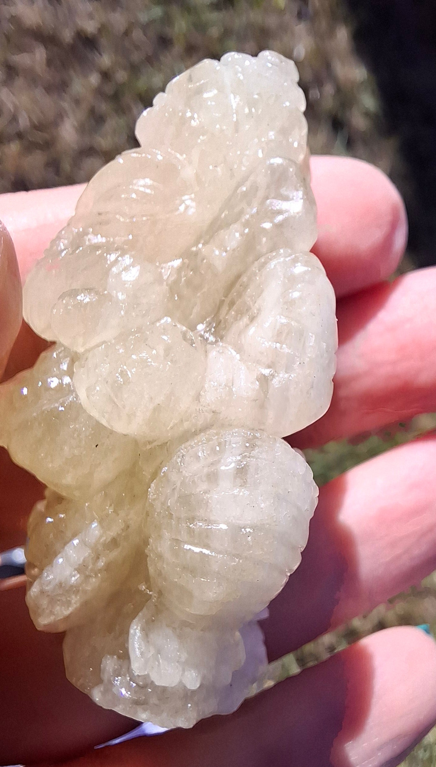 Libyan Desert Glass GANESHA craving, 31.21g, Tektite (Ref: Ganesha2)