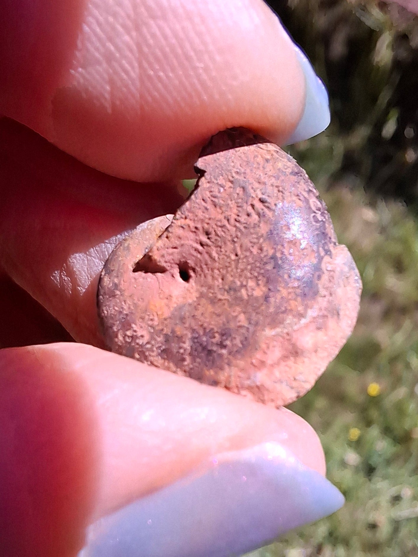 Small Haematite Ammonite HALF, 1.32g, Fossil (Ref: MA5)
