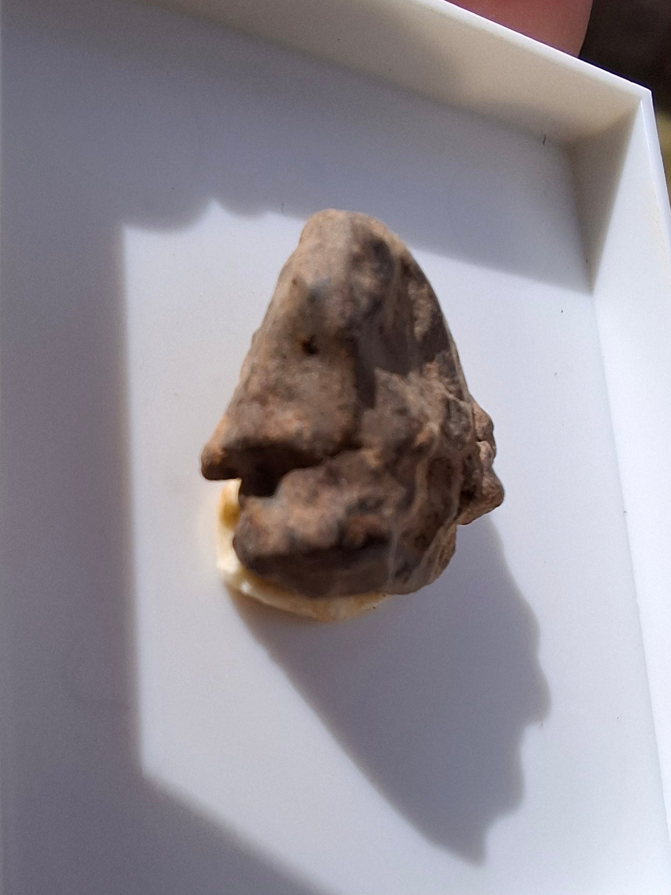 Chondrite, Meteorite (Ref: CM5)