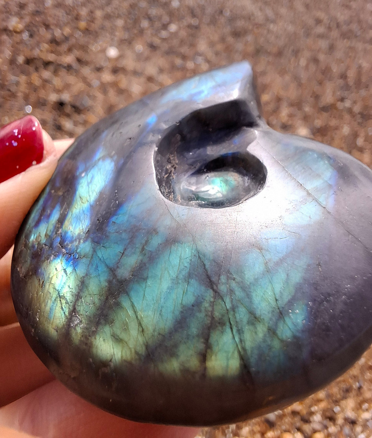 Labradorite Ammonite carving, 96.88g, Crystal (Ref: laba1)