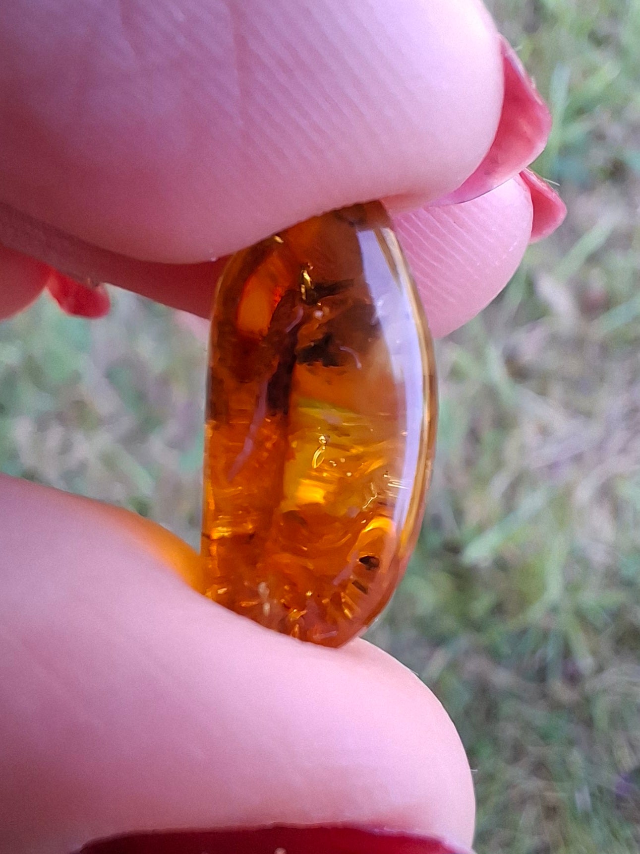 Baltic Amber, 1.61g, Fossil (Ref: A186)