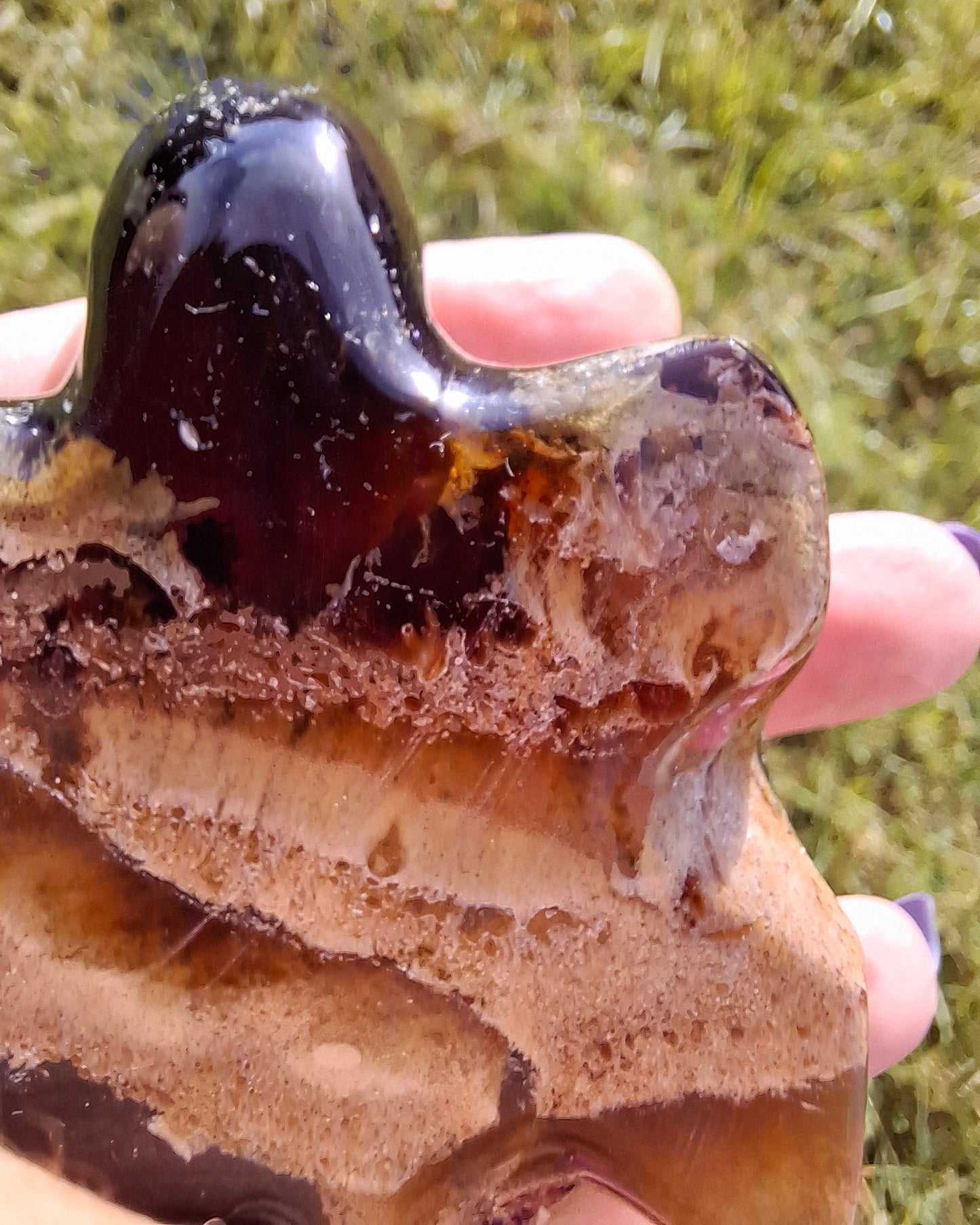 Red Amber Turtle, 56.87g, Carving, Fossil (Ref:TT7)