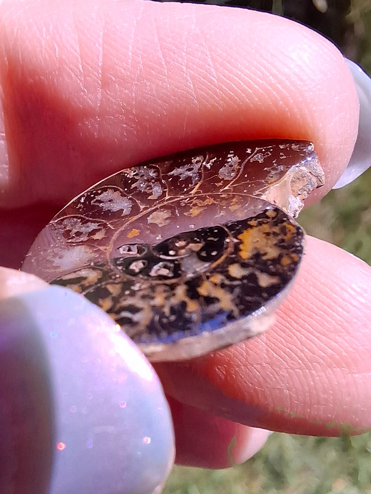 Small Haematite Ammonite HALF, 2.19g, Fossil (Ref: MA3)
