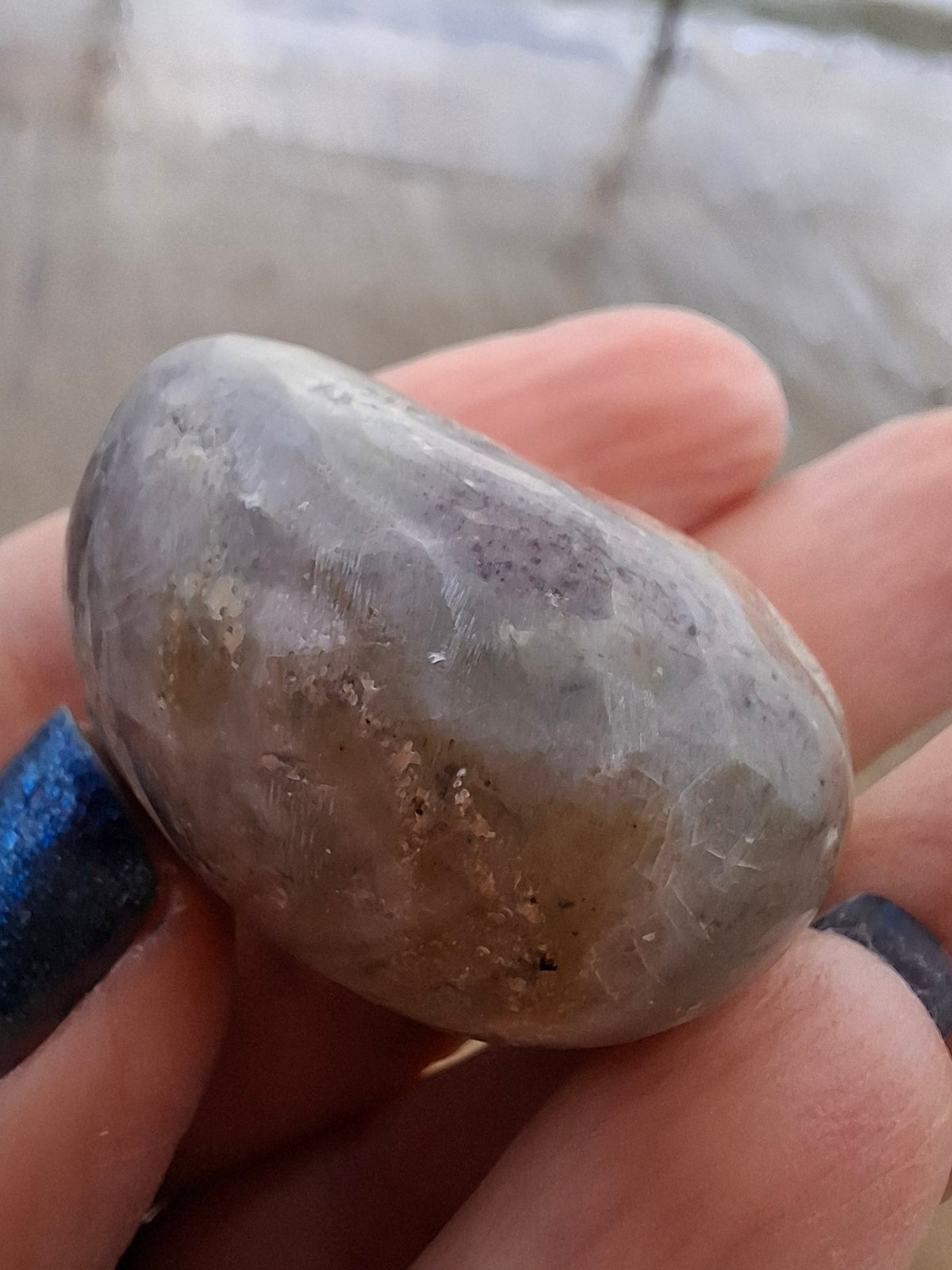 Polished Sea Urchin, Fossil (Ref: SU6)