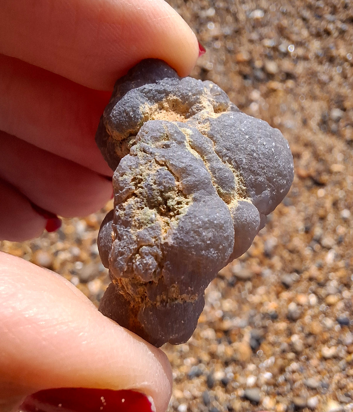 Nebula Chalcedony, 16.92g, Fossil (Ref: NC6)