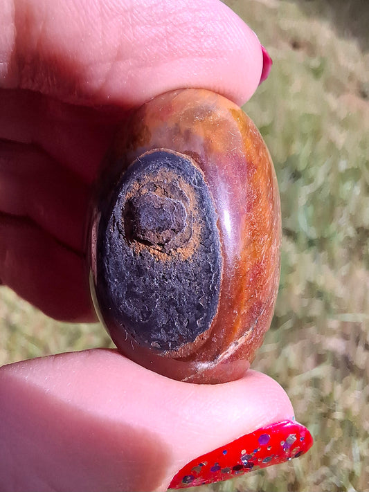 Tigers Eye, Tumble Stone, Crystal (Ref: T136)