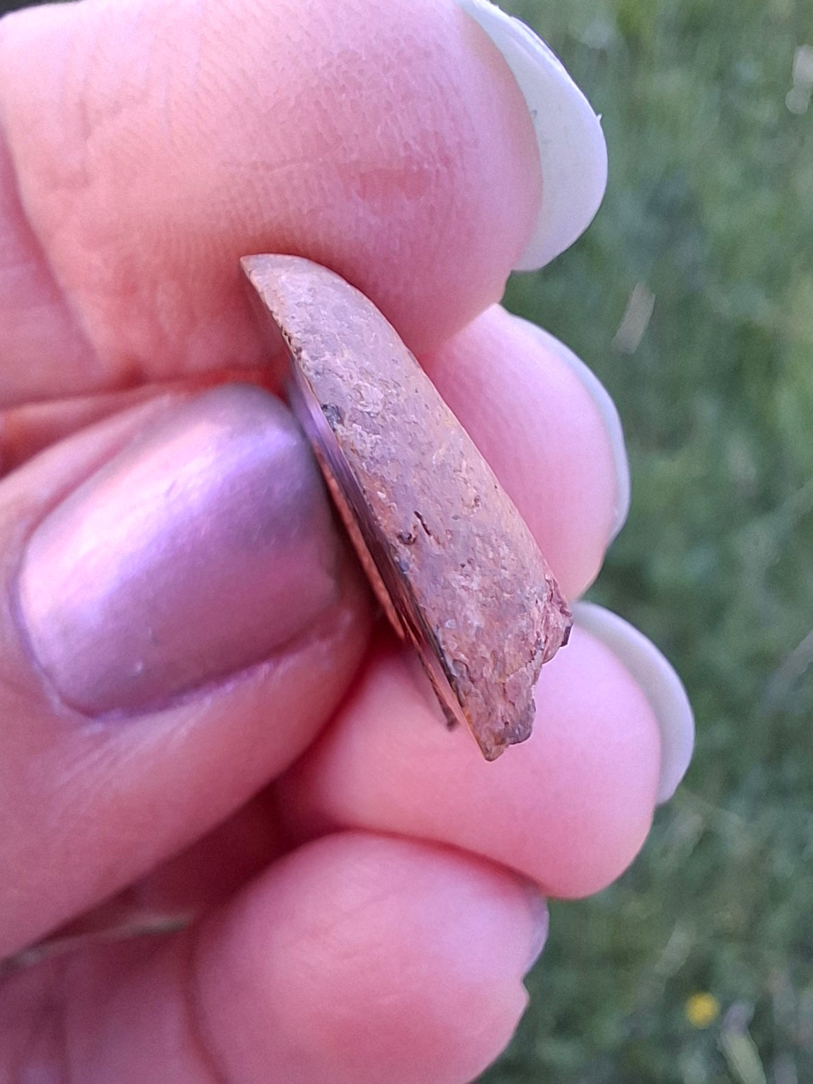 Small Haematite Ammonite HALF, (2.91g), Fossil (Ref: MA1)