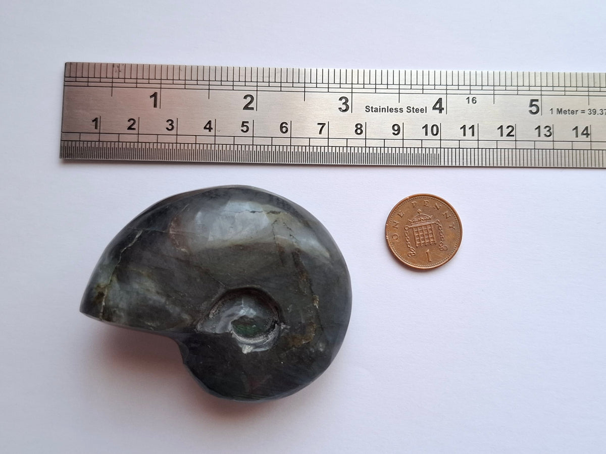 Labradorite Ammonite Carving, 111.66g, Crystal (Ref: laba3)