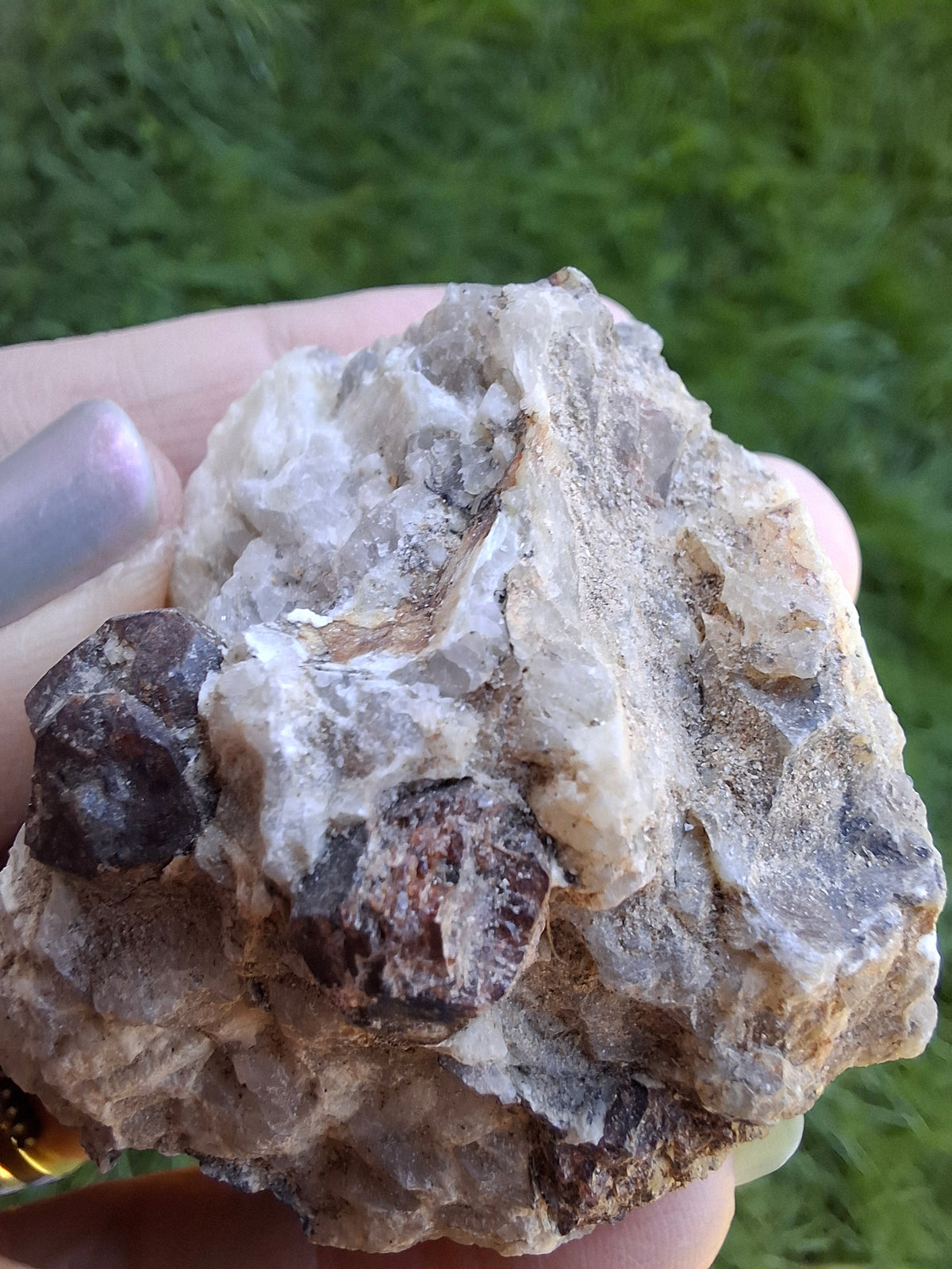 (Dig your own) Garnet in Matrix, Crystal (Ref: RG6)