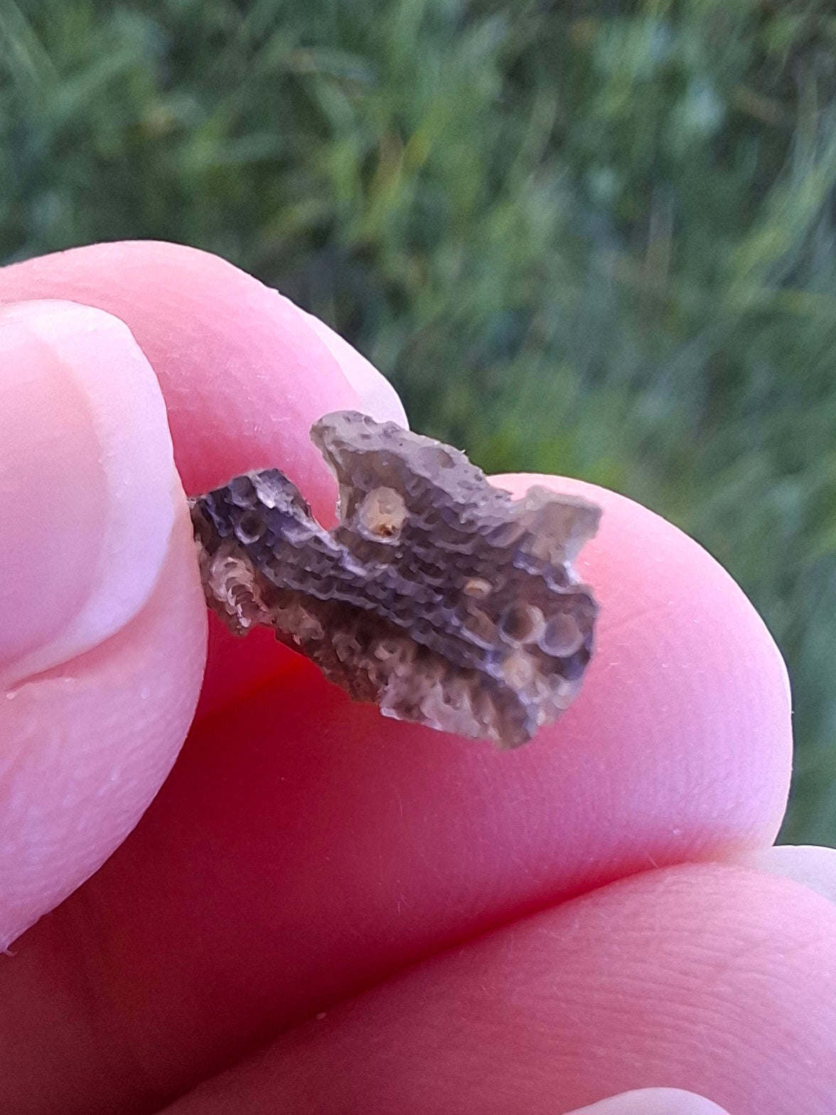 DRILLED, Moldavite Piece, 0.80g, Tektite (Ref: D24)