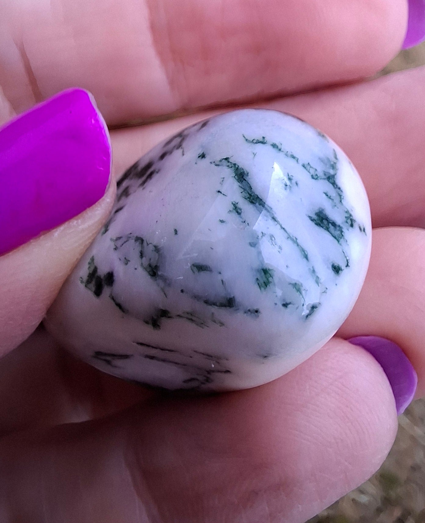 Tree Agate, Tumble Stone, Crystal (Ref: T1)