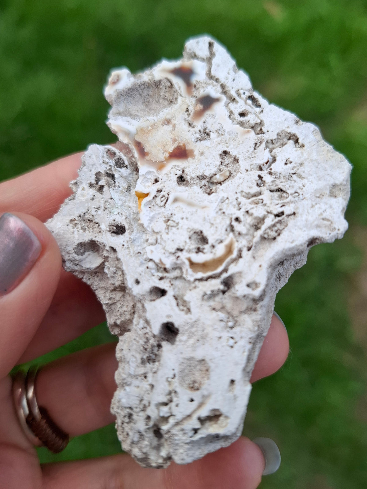 Fossilised Coral replaced by Chalcedony/Agate, Fossil (Ref: FCA1)