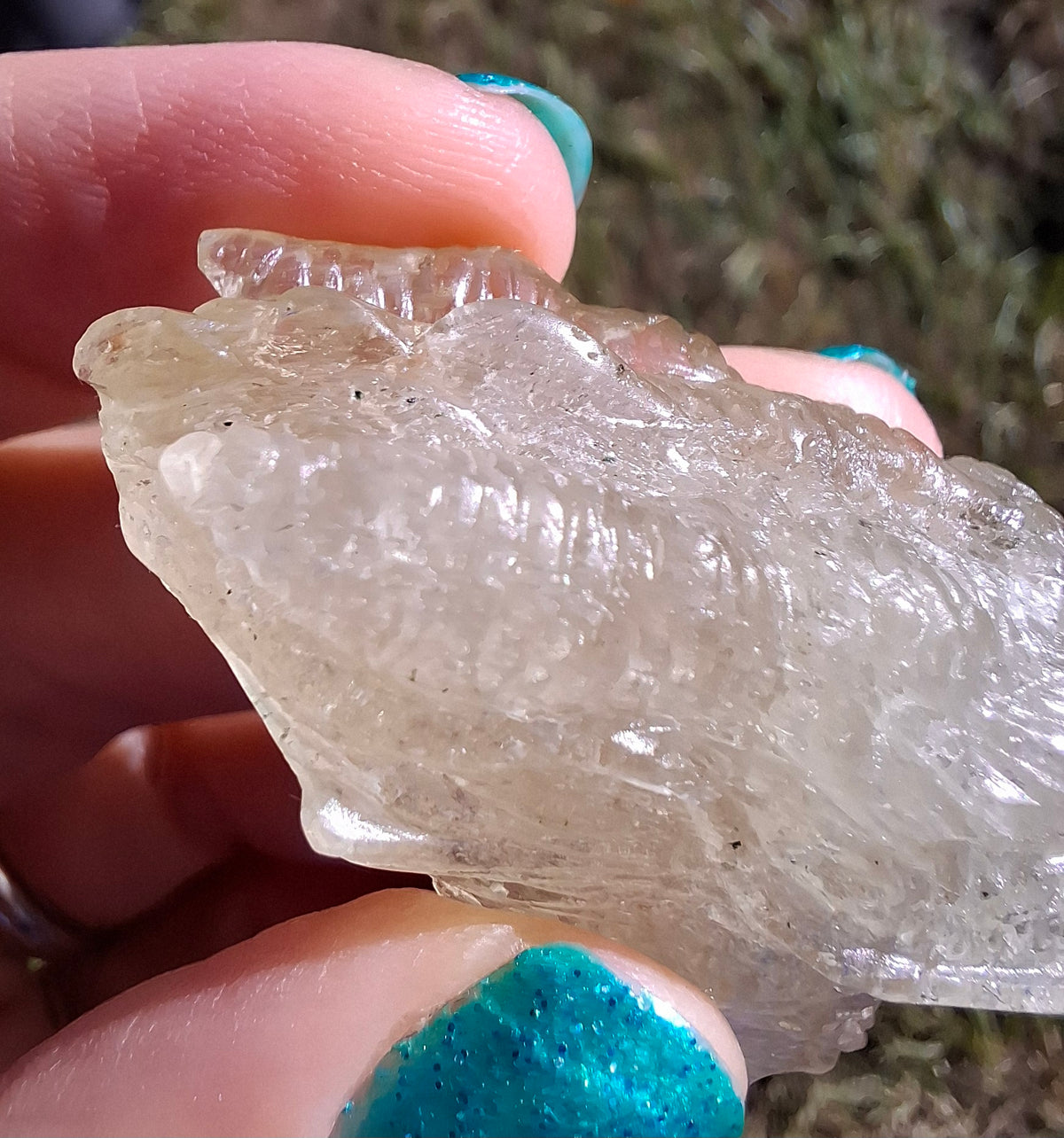 Libyan Desert Glass DRAGON HEAD carving, 22.42g, Tektite (Ref: Dragon 2)