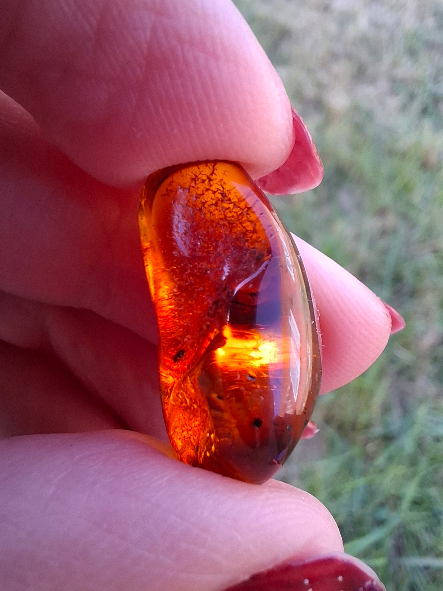 Baltic Amber, 1.47g, Fossil (Ref: A238)