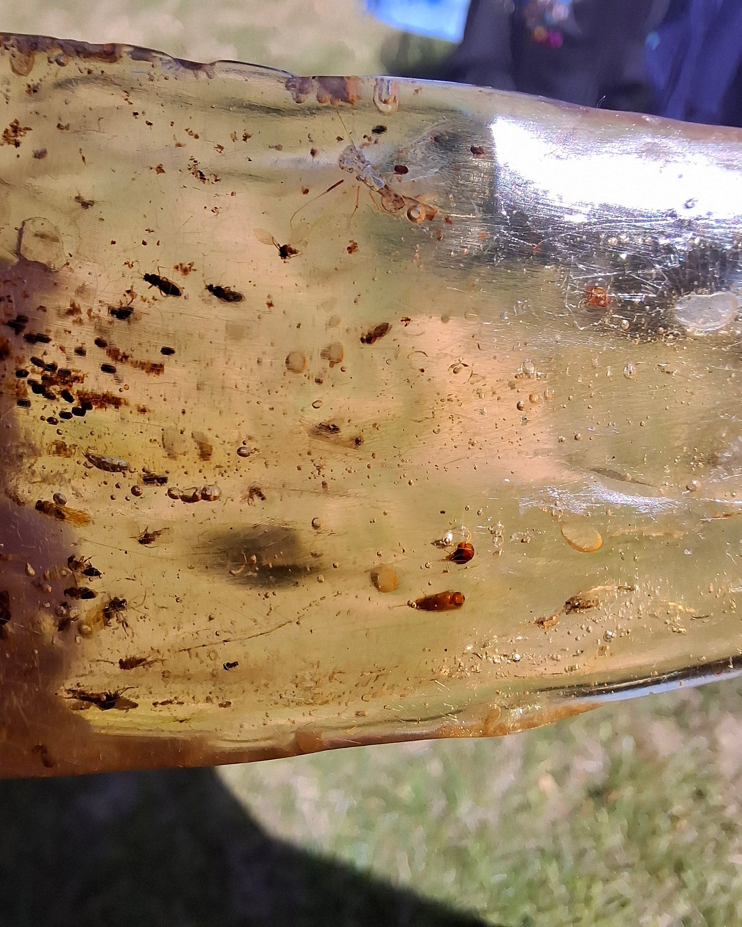 Copal Young Amber with INSECTS inside, 28.43g, Fossil (Ref: CA10)