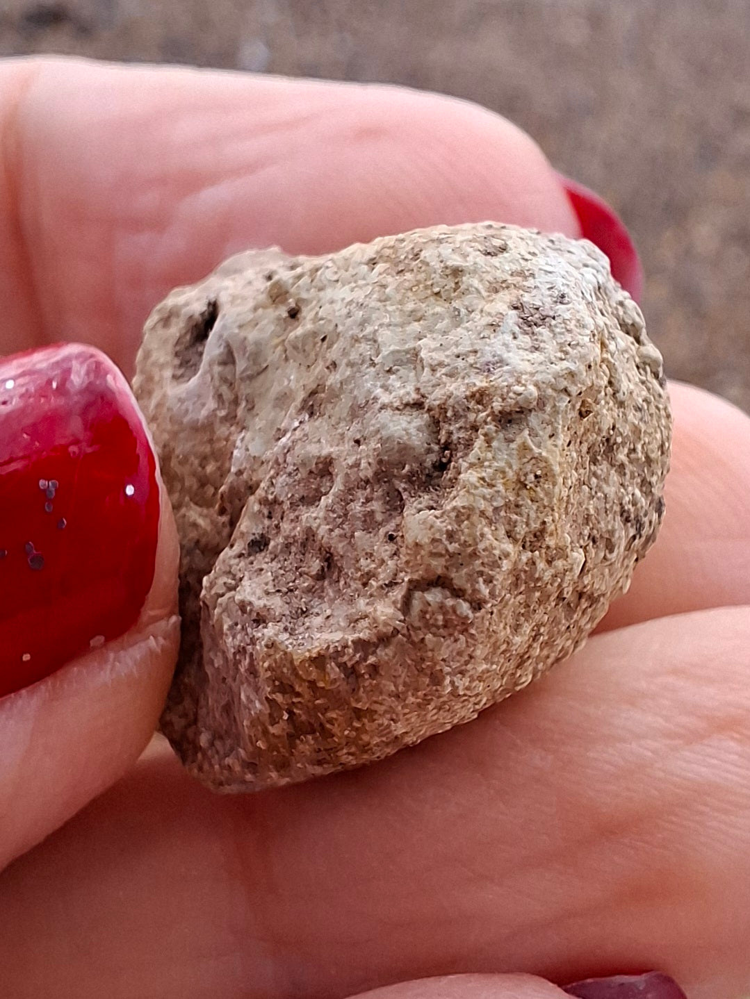 Sauropod Dinosaur Coprolite, 7.32g, Fossil (Ref: DP4)