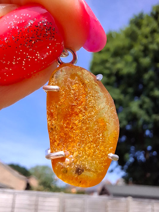 Baltic Amber Pendant, 925 Silver, Fossil (Ref: AP11)