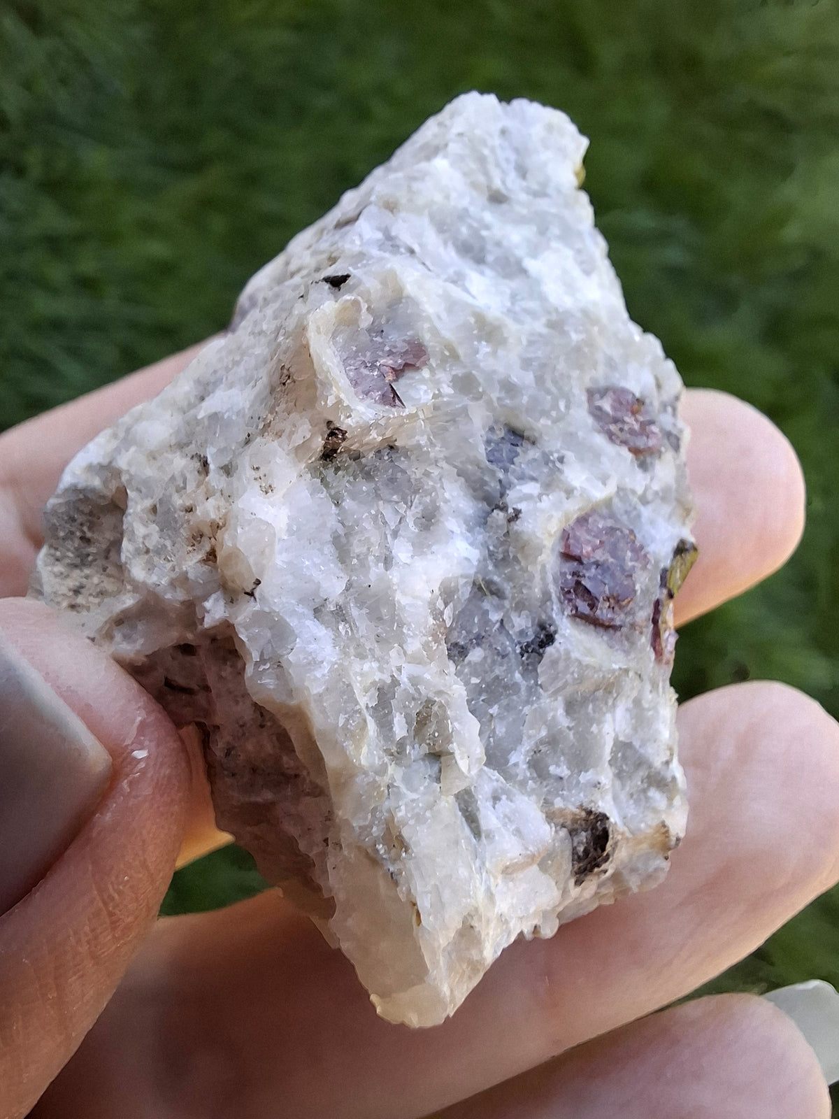 (Dig your own) Garnet in Matrix, Crystal (Ref: RG3)