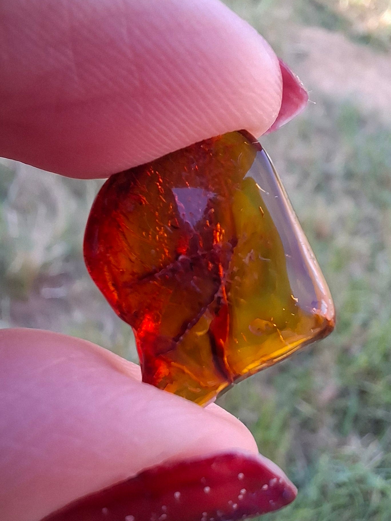 Baltic Amber, 0.94g, Fossil (Ref: A256)