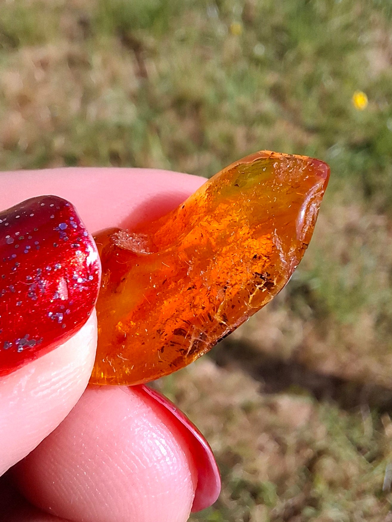 Baltic Amber, 1.39g, Fossil (Ref: A181)