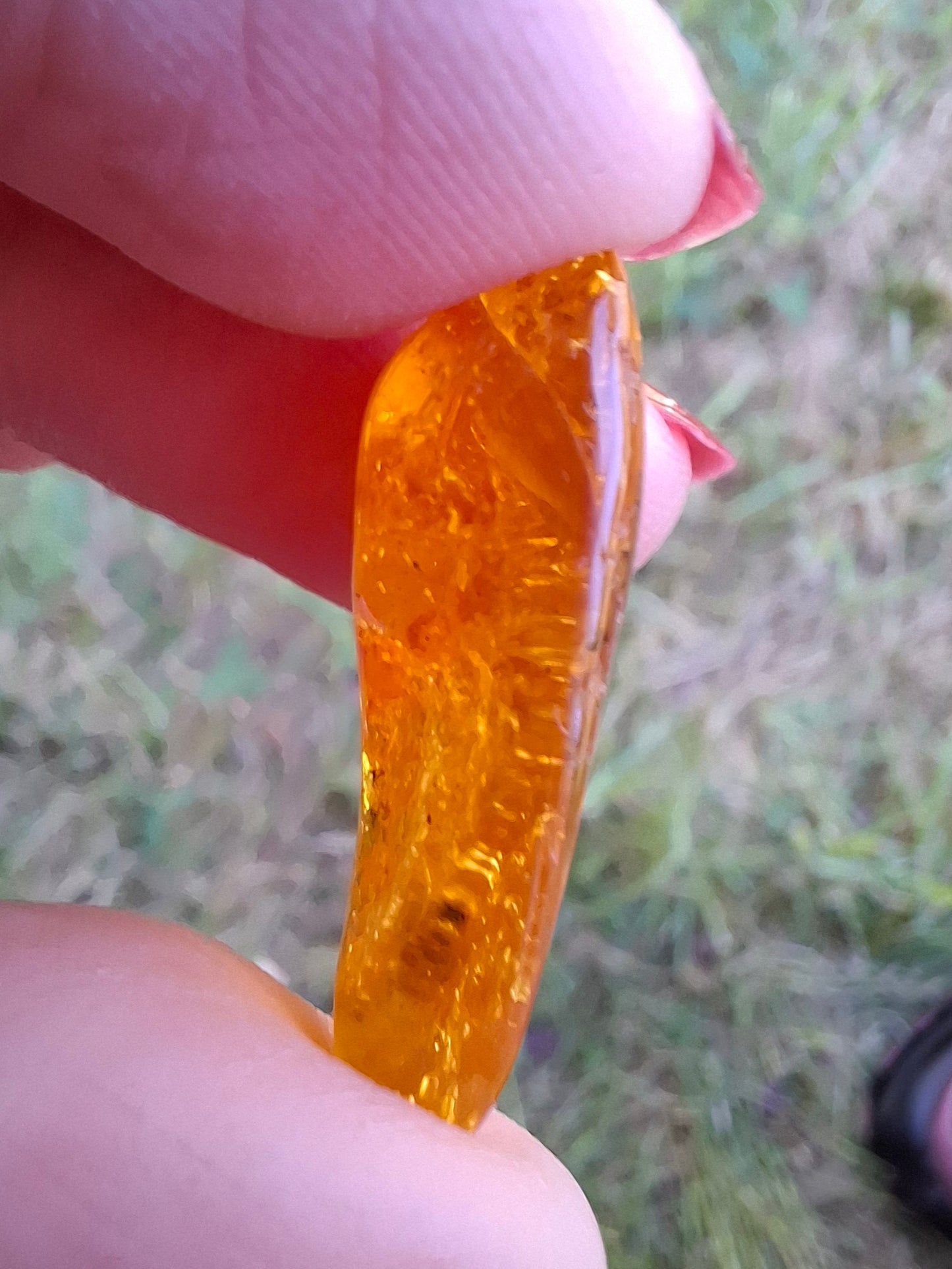 Baltic Amber, 1.39g, Fossil (Ref: A181)