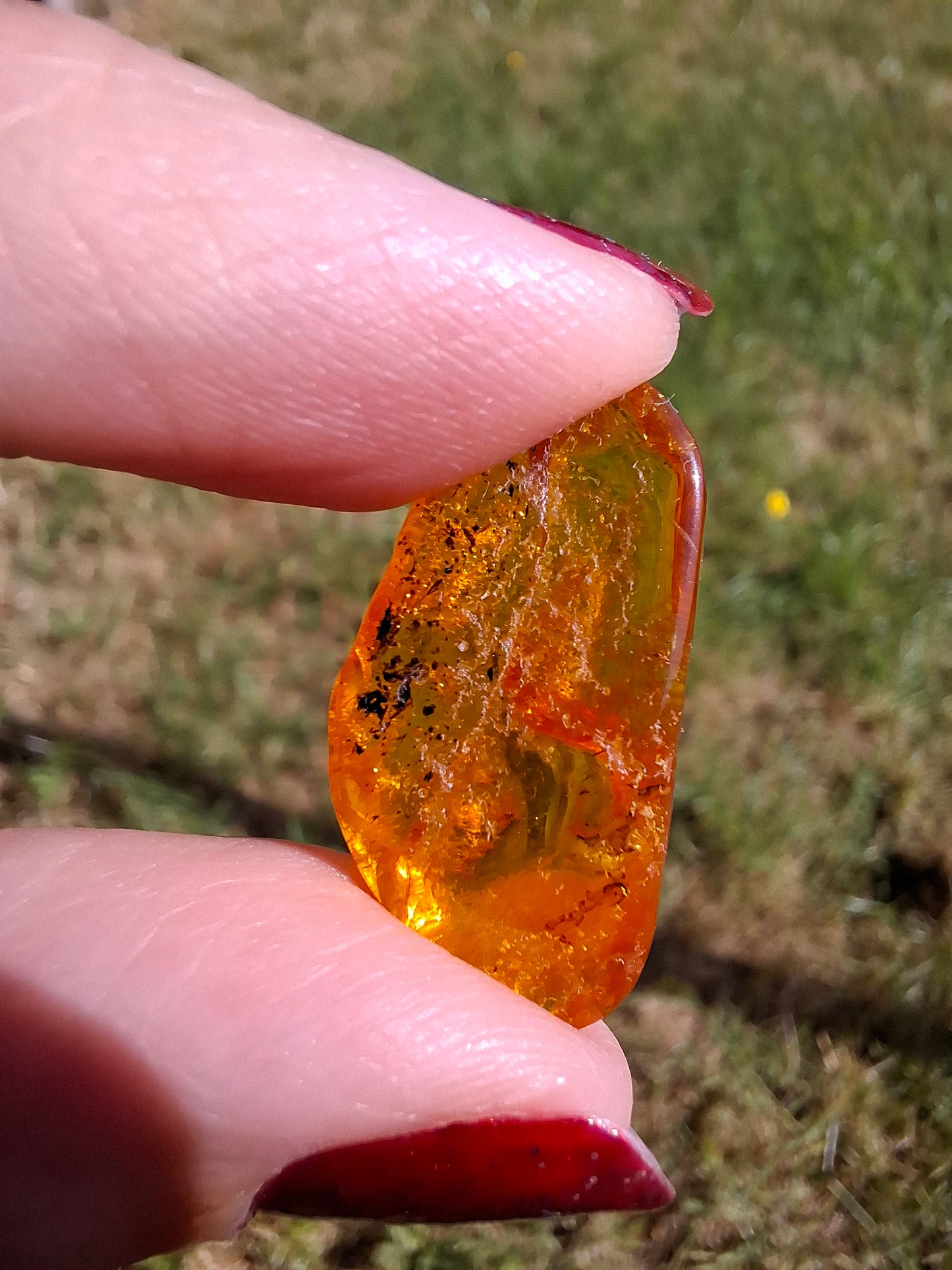 Baltic Amber, 1.39g, Fossil (Ref: A181)