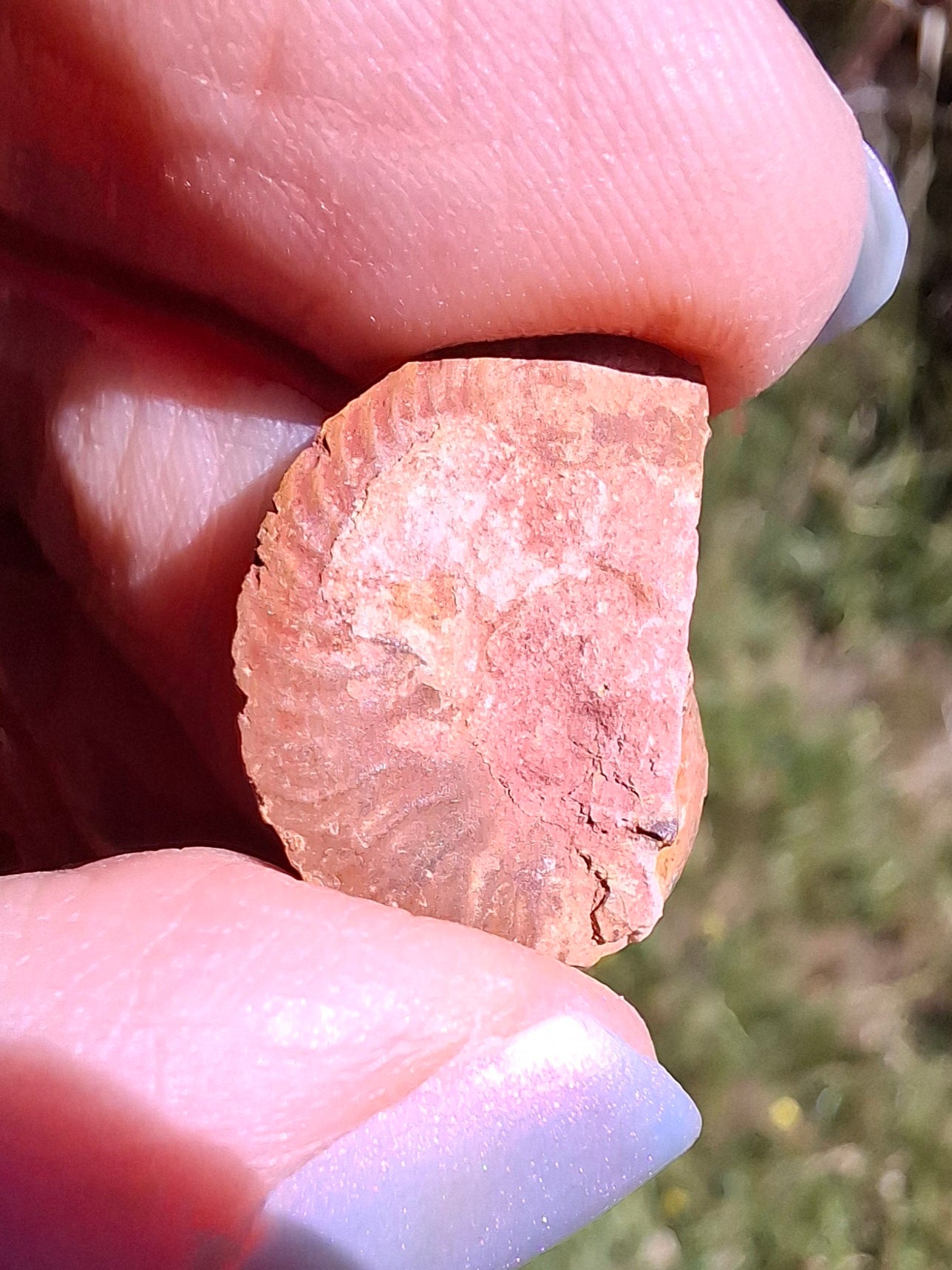 Small Haematite Ammonite HALF, 1.19g, Fossil (Ref: MA11)