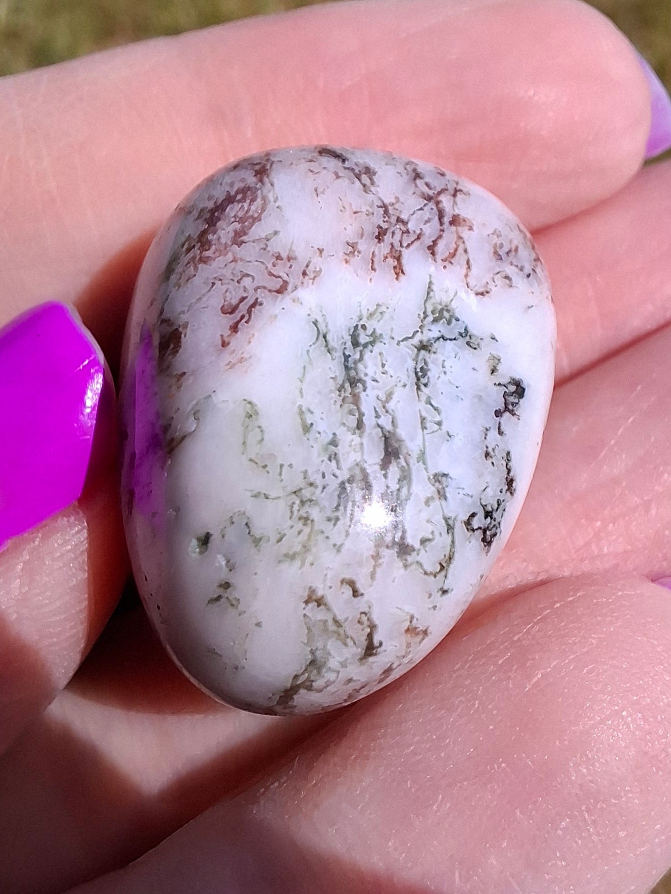 Tree Agate, Tumble Stone, Crystal (Ref: T6)