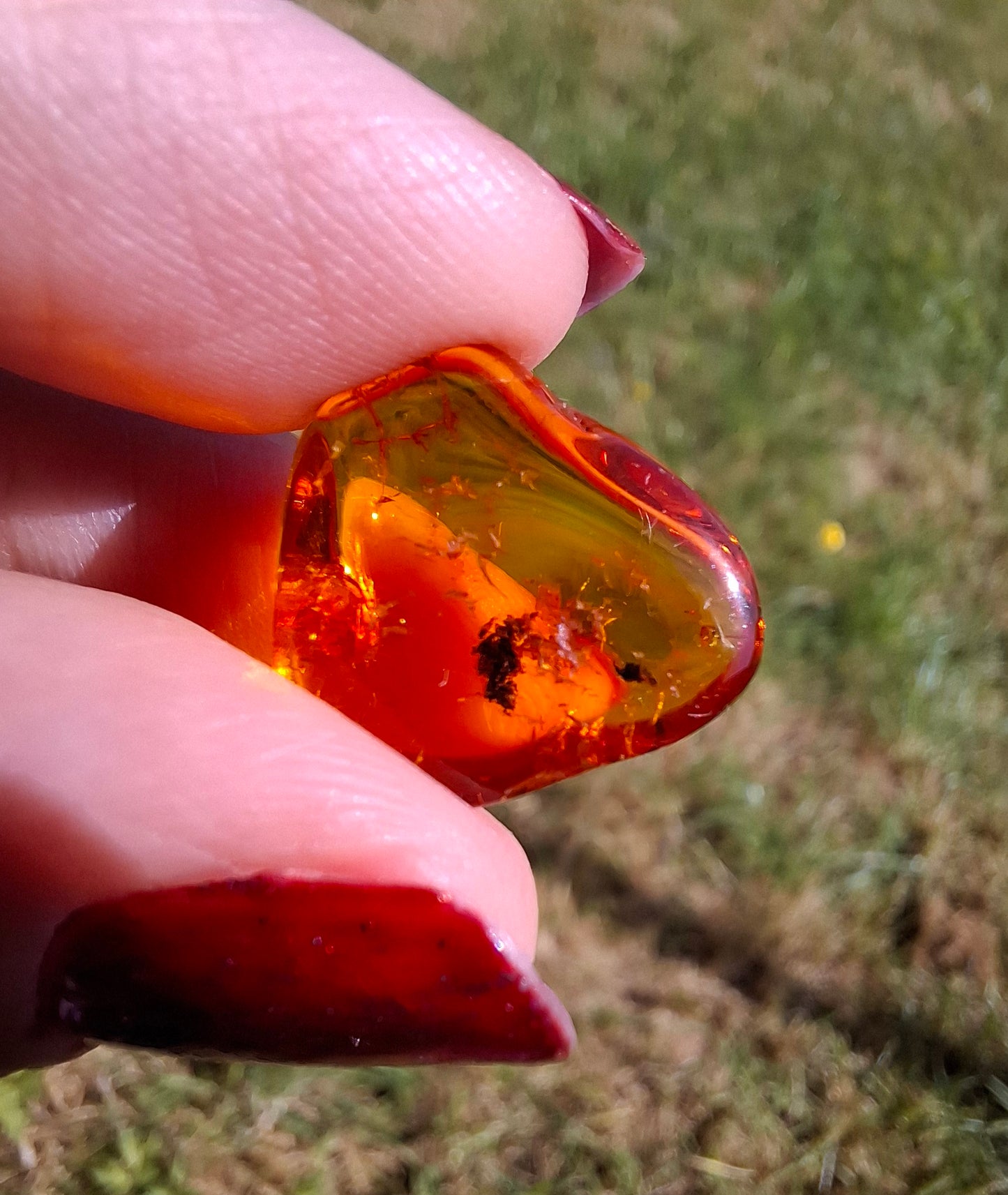 Baltic Amber, 0.97g, Fossil (Ref: A249)