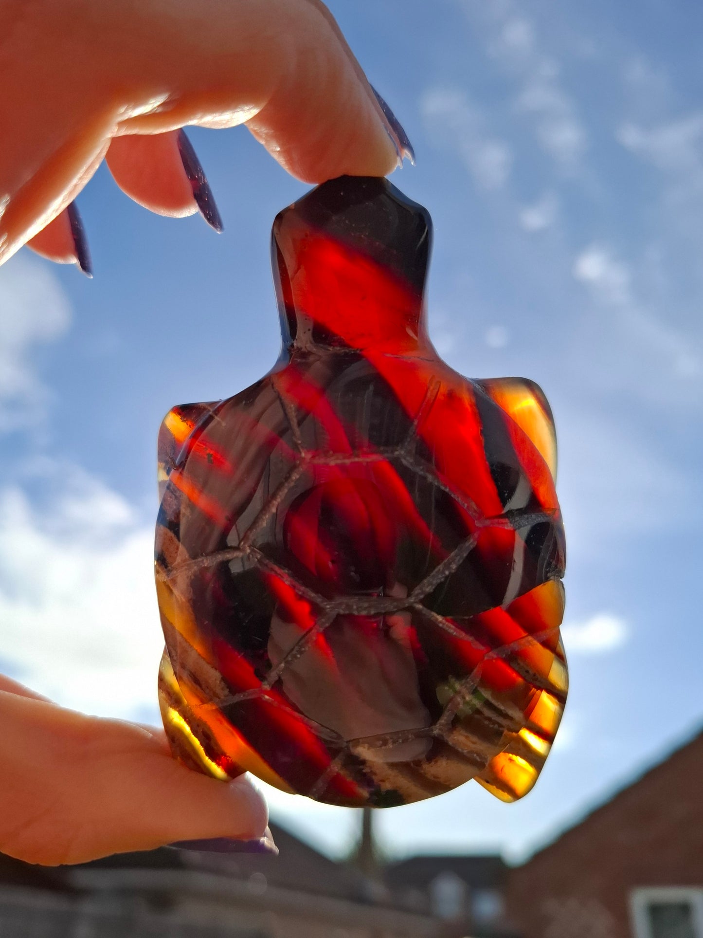 Red Amber Turtle, 59.07g, Carving, Fossil (Ref: TT5)