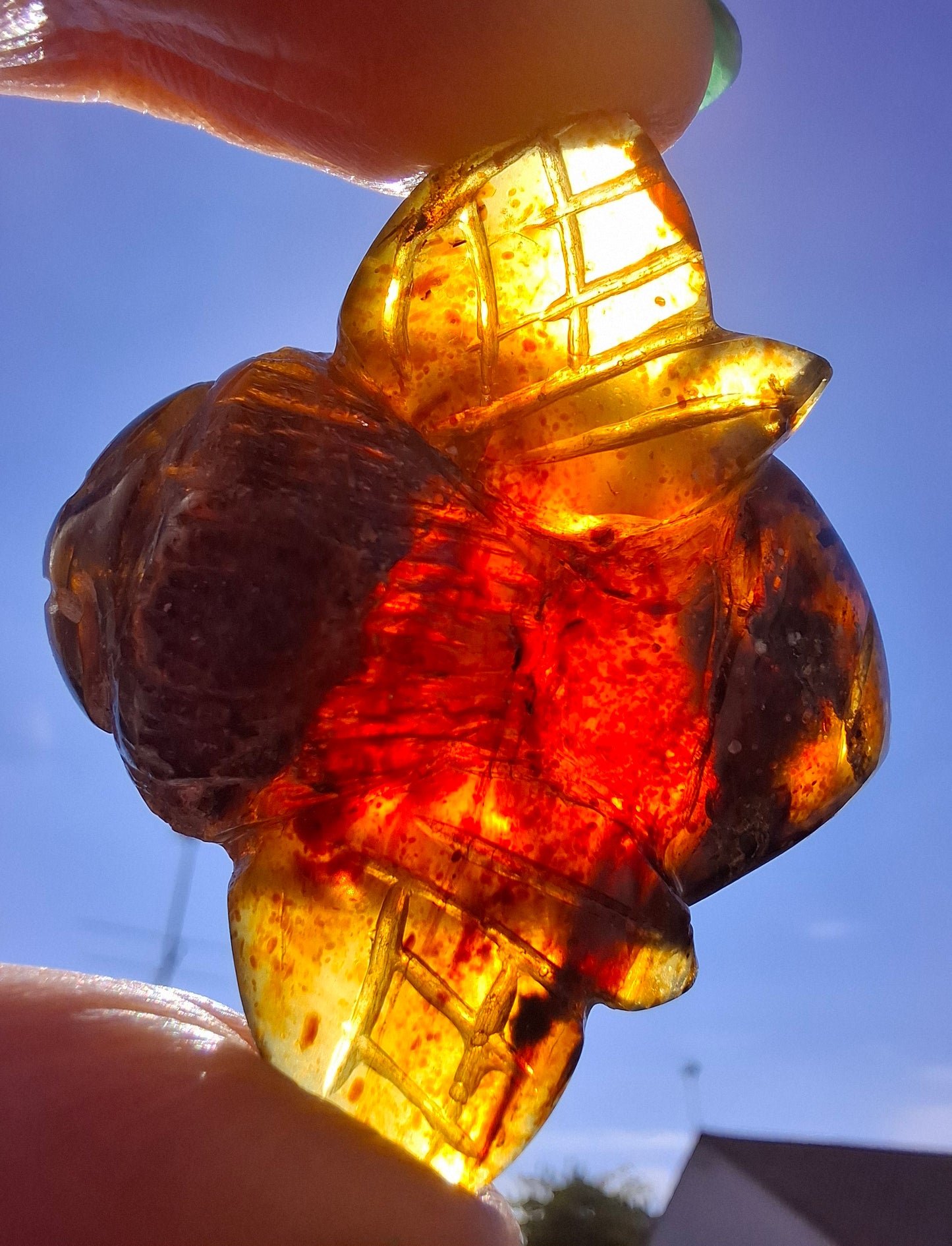 Red Amber Honey Bee Carving, 10.66g, Fossil (Ref: Bee39)
