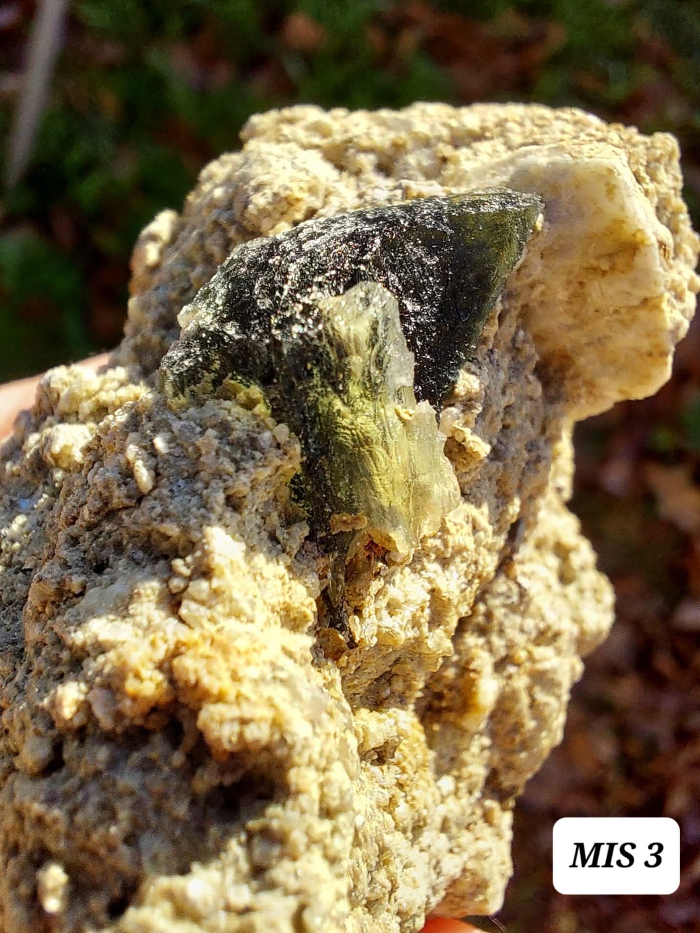 Moldavite In-Situ (in matrix), Besednice, Est- 3g, Tektite (Ref: MIS3)