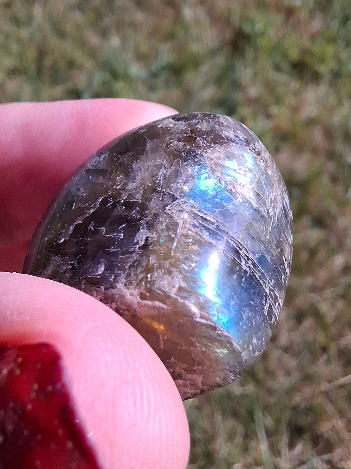 Labradorite, Tumble Stone, Crystal (Ref: T211)