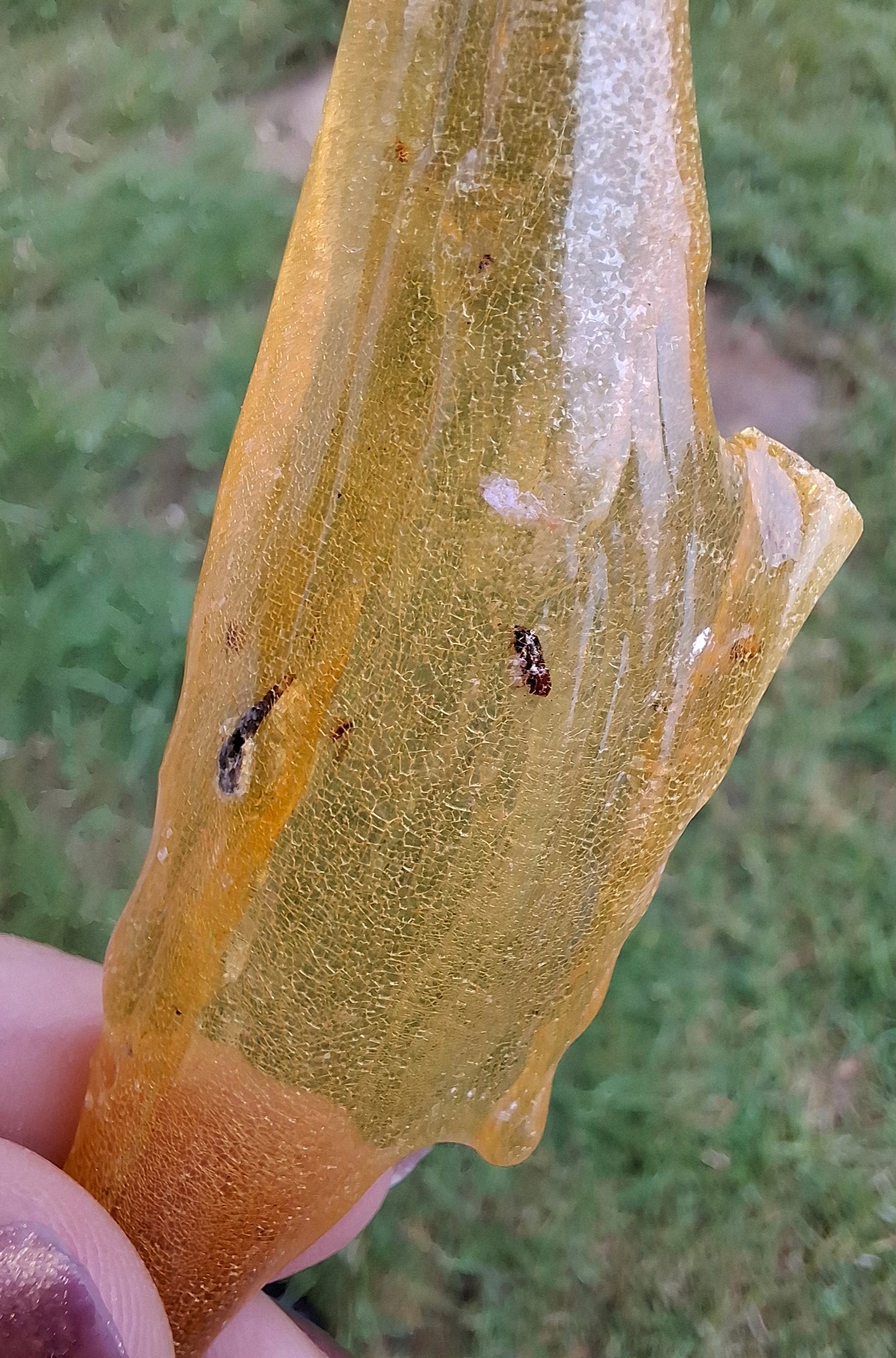 Copal Young Amber with INSECTS inside, 10.79g, Fossil (Ref: CA14)