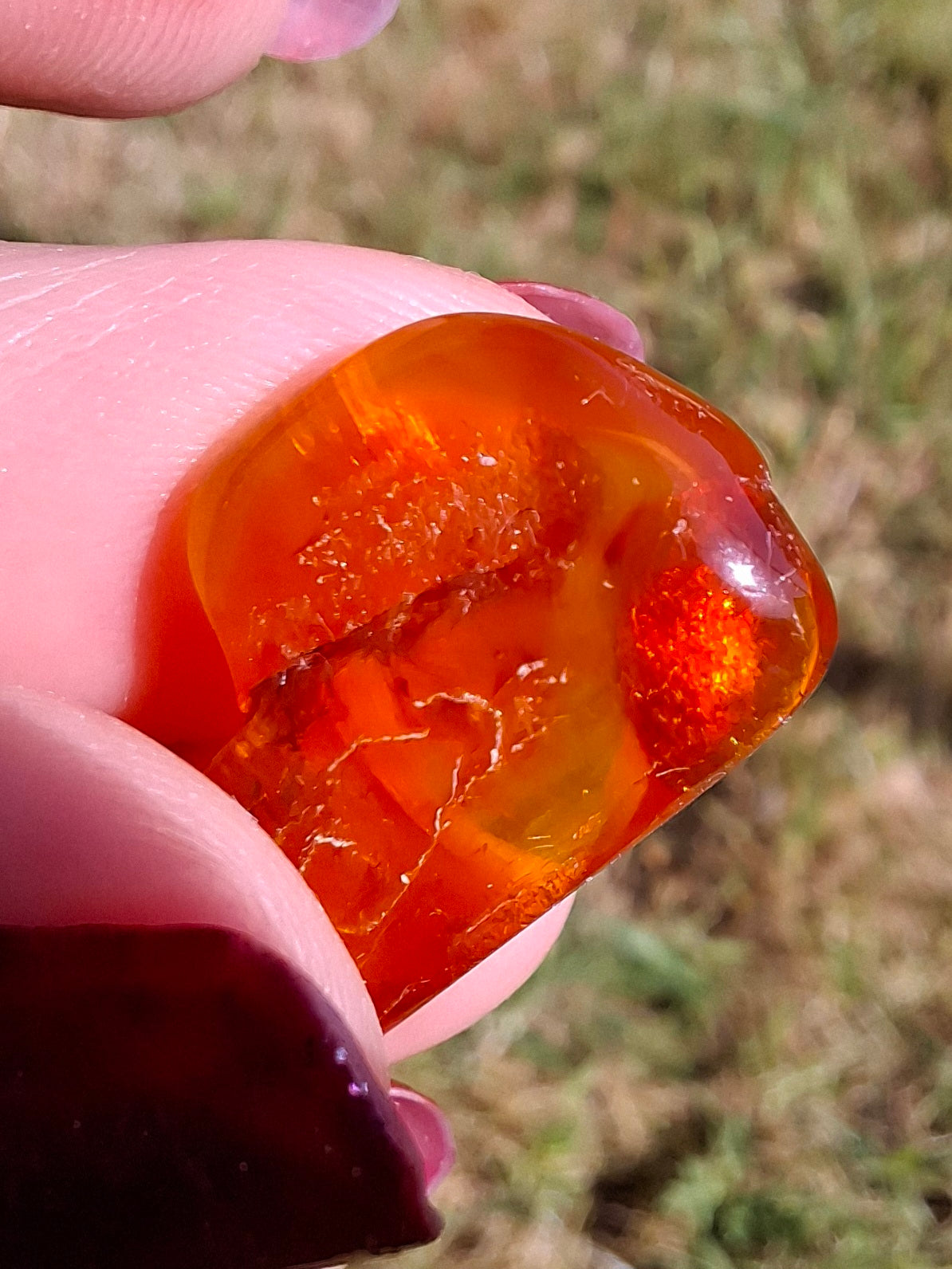 Baltic Amber, 1.48g, Fossil (Ref: A221)