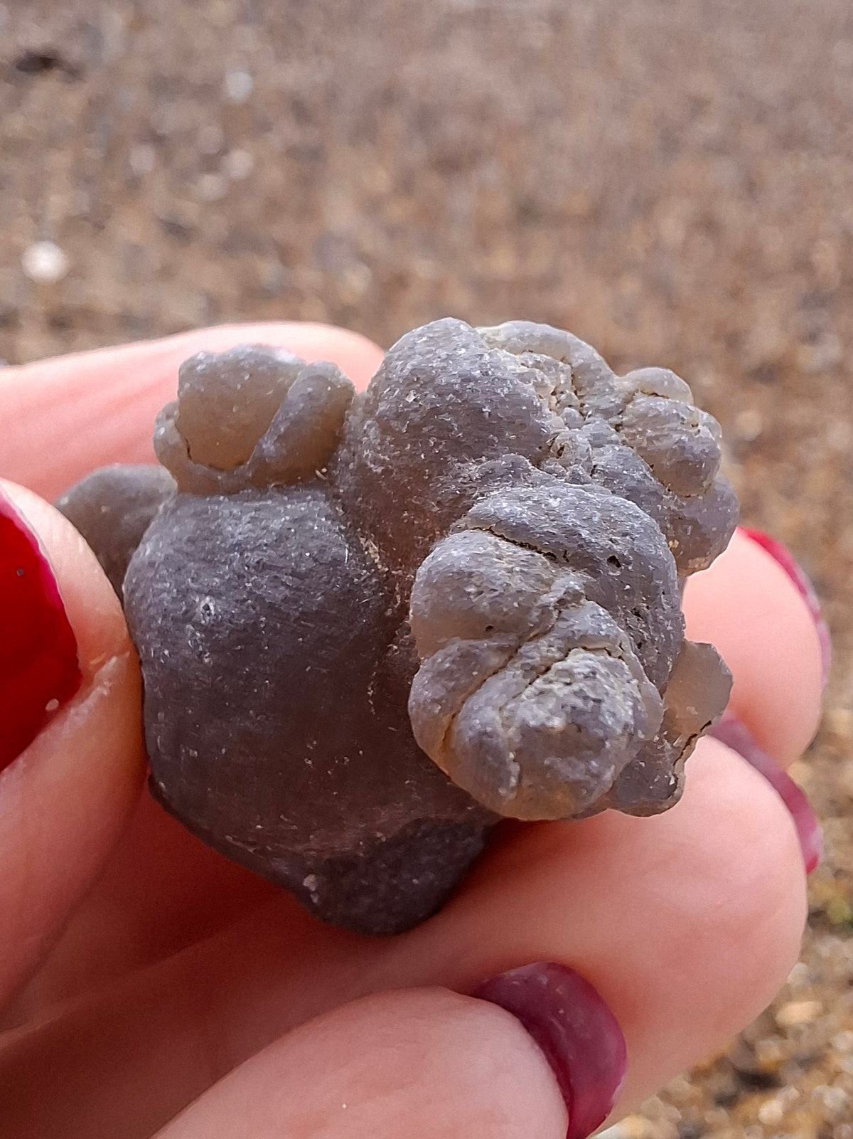 Nebula Chalcedony, 13.45g, Fossil (Ref: NC2)