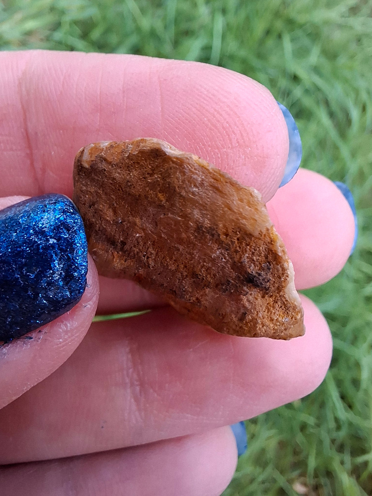 Diaspore (Zultanite), 8.80g, Crystal (Ref: DIS3)
