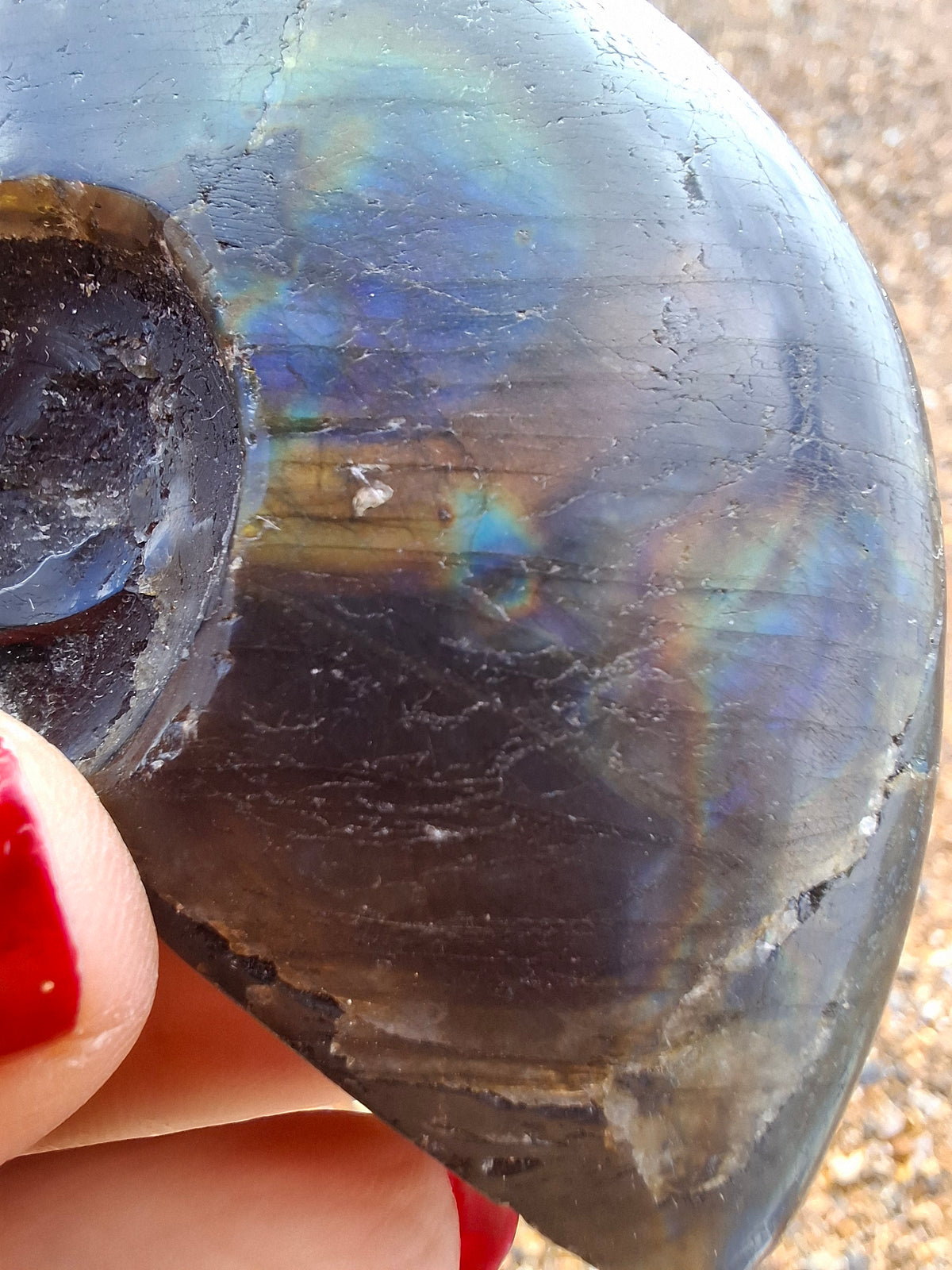 Labradorite Ammonite Carving, 89.31g, Crystal (Ref: laba6)