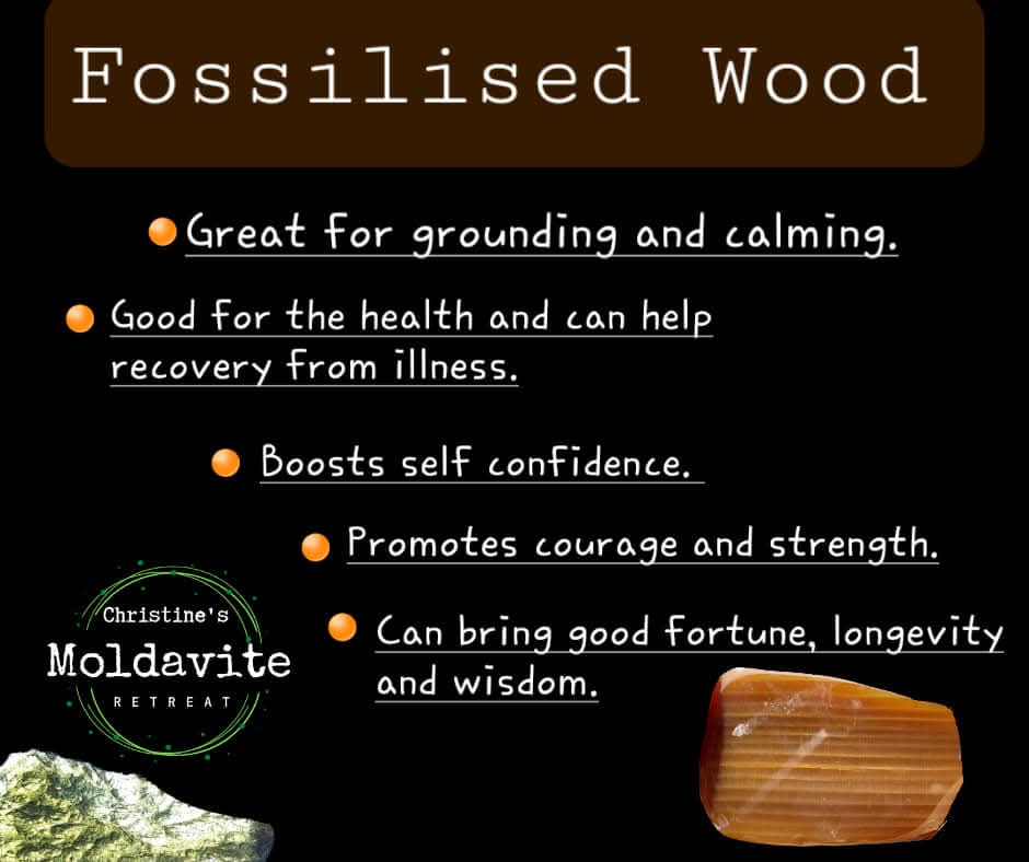 Fossilised Wood (polished), 74.86g, Fossil (Ref: FE1)