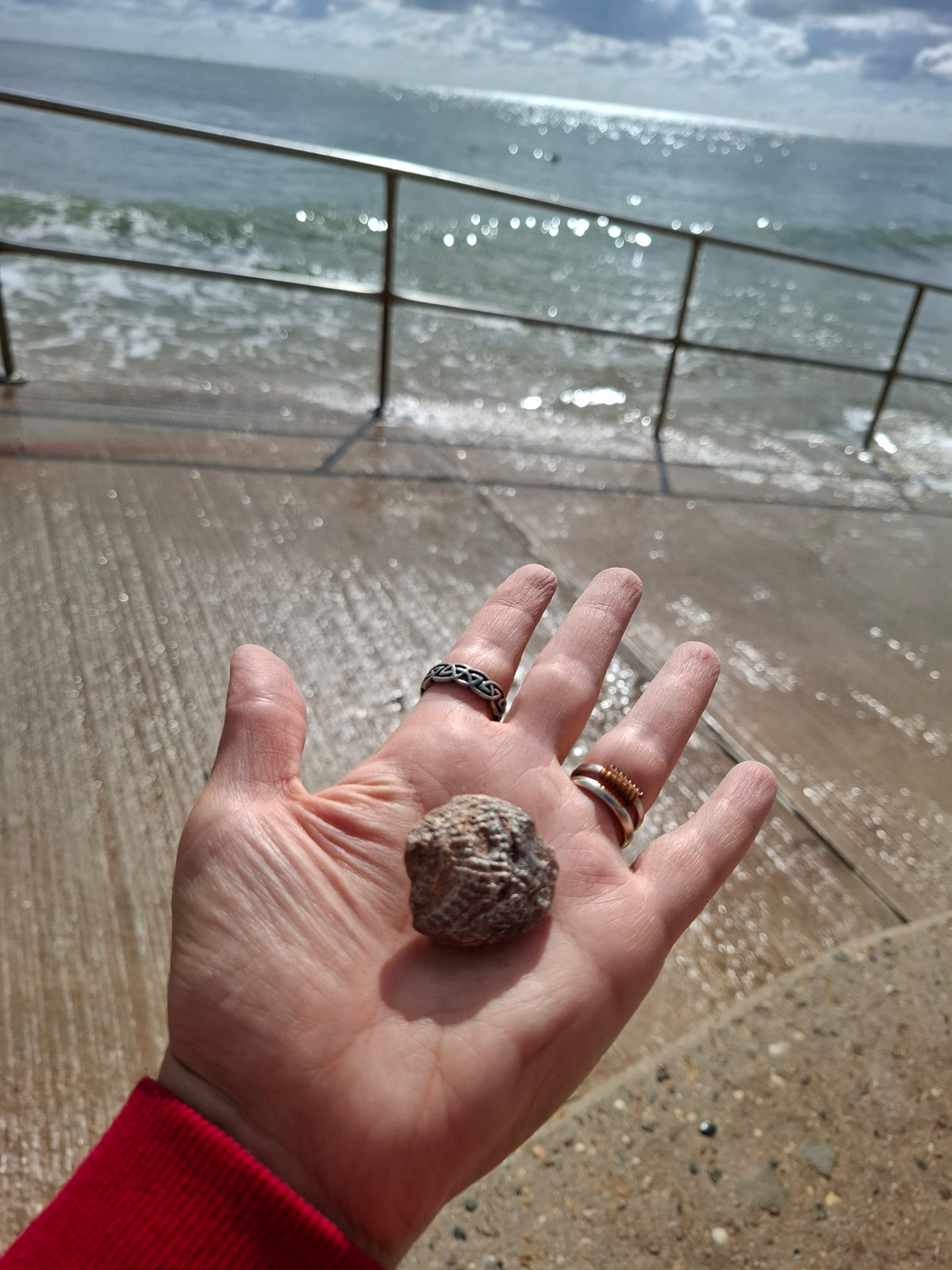 Chalcedony Oyster, Fossil (Ref: FO7)